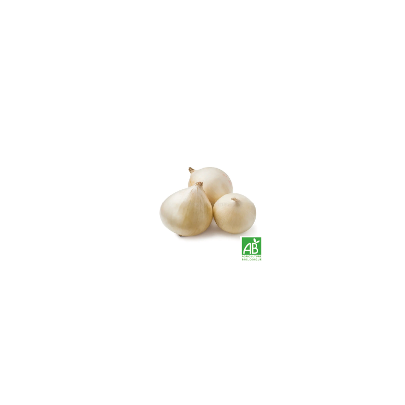 Oignons Blancs