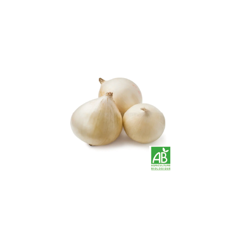 Oignons Blancs