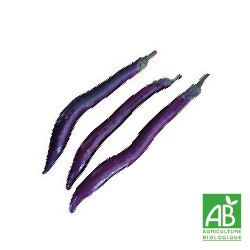 Aubergines Gioleta