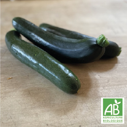 Courgettes