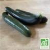 Courgettes