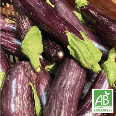 Aubergines Tsakonikis & Blanches