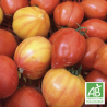 Tomates Cœur de bœuf Rouges