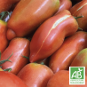 Tomates Anciennes