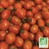 Tomates Cerises Rouges