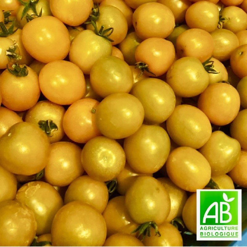 Tomates Cerises Jaunes