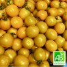 Tomates Cerises Jaunes
