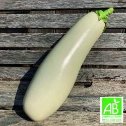 Aubergines Longues Blanches