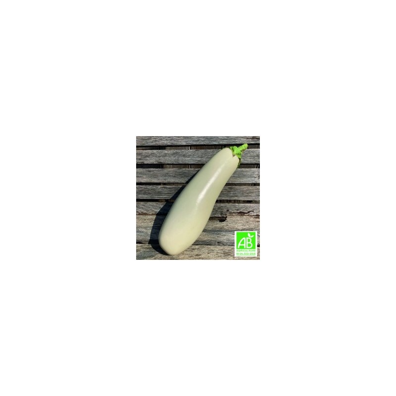 Aubergines Longues Blanches