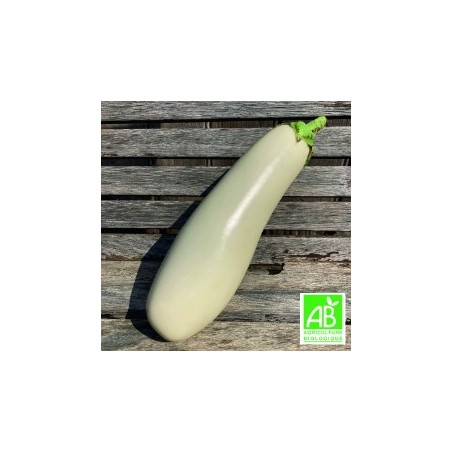 Aubergines Longues Blanches