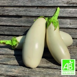 Aubergines Longues Blanches