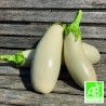 Aubergines Longues Blanches