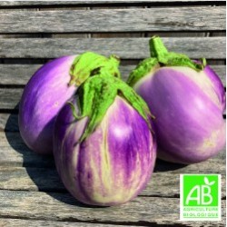 Aubergines Rosa Bianca