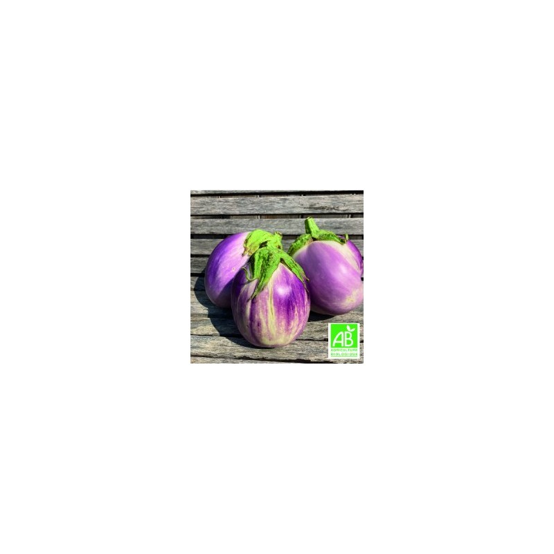 Aubergines Rosa Bianca