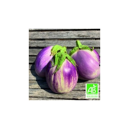 Aubergines Rosa Bianca