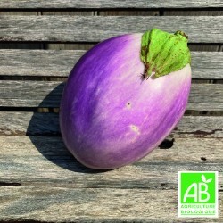 Aubergines Rosa Bianca