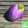 Aubergines Rosa Bianca