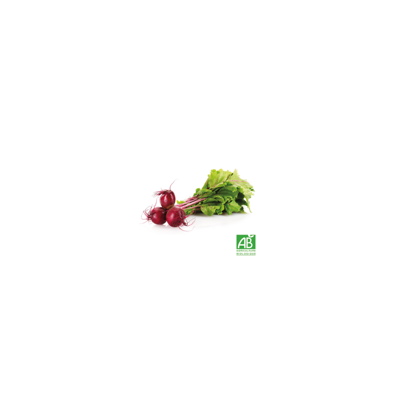 Bettraves Rouges Botte